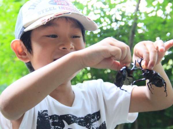 【7／21～8／31の夏休み期間限定】大人1名につき小学生以下のお子様 無料！【昆虫採集ツアー開催】2食付