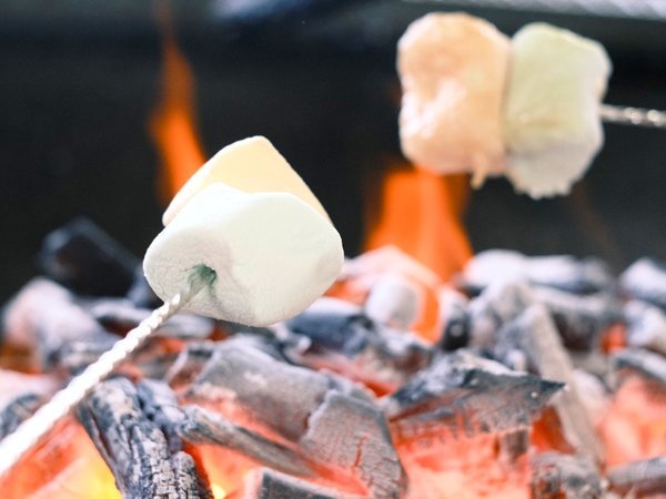 冬～春限定☆大人１名につきお子様０円【焼マシュマロ体験付】お得なファミリー特典♪２食付