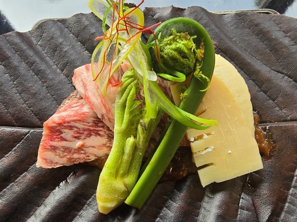 春季限定【山菜尽くしプラン】春の味覚を堪能する特別会席料理♪2食付