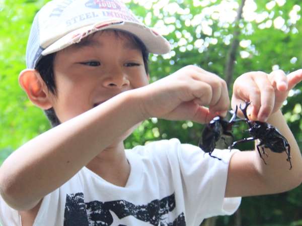 【夏休み限定】大人1名につき小学生以下のお子様 無料！【昆虫採集ツアー開催】2食付